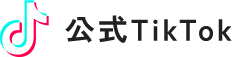 公式Tiktok